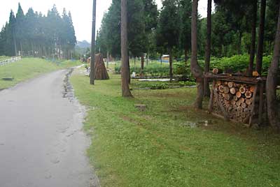 農園の道路側の草刈が終わって、すっきりしました。