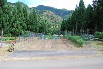 バーナーでの除草と野菜の残渣が片づいてきれいになりました。