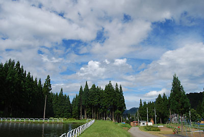 雨が降ると思ったら青空が出て来ました。