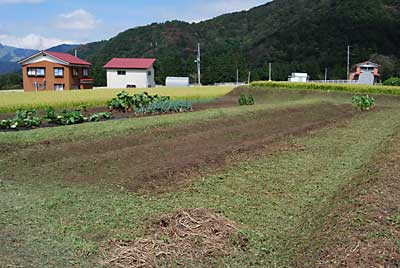 約３時間ほどかかって草刈が終わりました。