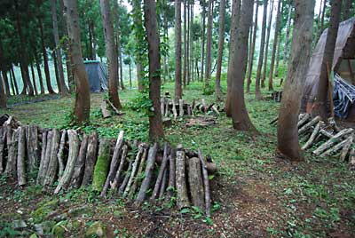 シイタケのホダ木のところも草刈をしました。