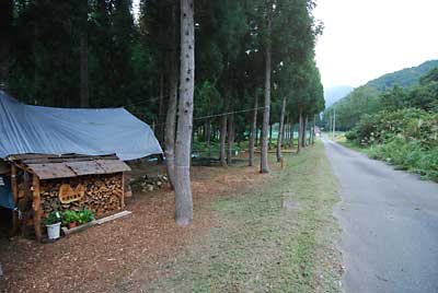 道路の脇もきれいに草刈をしました。