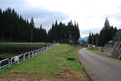 ついでに農園の隣のため池の草刈もしました。