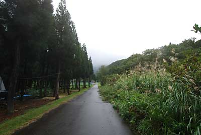 簡易作業場の天幕を撤収することにしました。