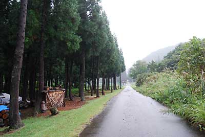 昨日の台風で撤収した簡易作業所の天幕を午前中、再設置しました。