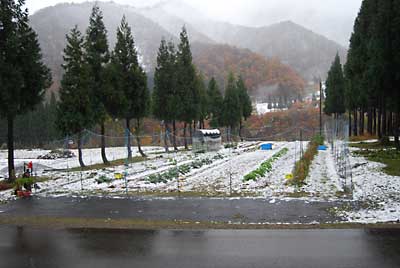 何とかアミを雪から引っ張って復帰させました。