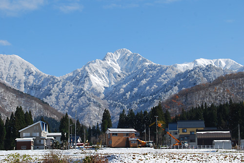 田んぼから