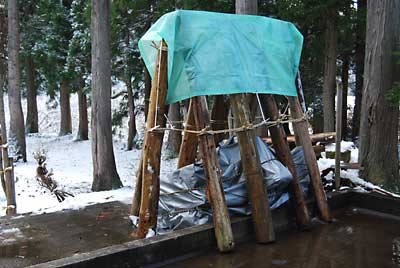 雪囲い完了。