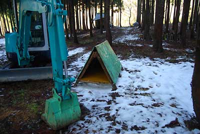 この保管庫には、行者ニンニクを入れて遅出し山菜の実験をします。