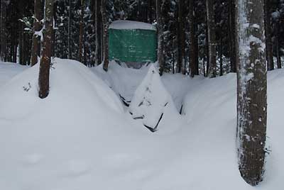 雪室は、昨日と一変して雪をかぶって真っ白になりました。