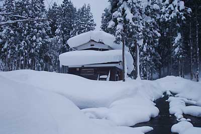 ご近所の屋根の雪が気になっていたのですが……。