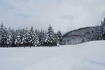 あっという間に雪景色になってしまいました。