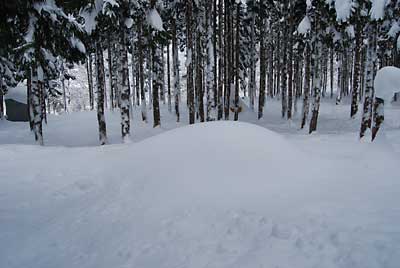 短期用の雪室は完全に埋まっていました。