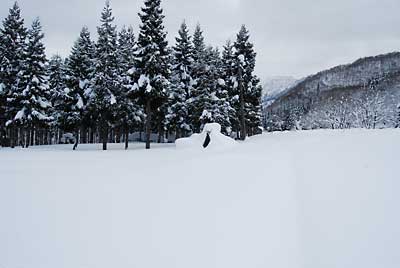 今年最後の雪室の点検に行ってきました。