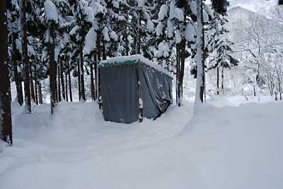 杉林の中のユンボ小屋です。