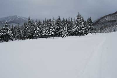 雪がかなり積もりました。