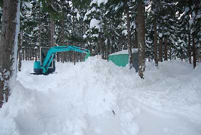 今日は、反対側からも雪を入れ雪室を転圧しました。