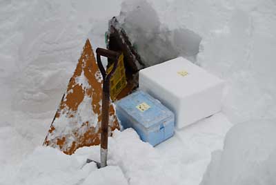 リンゴは、短期用の雪室に入れました。