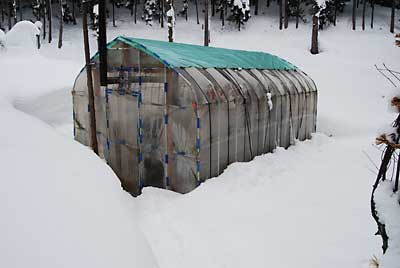 午後の３時過ぎからハウスの周りの除雪をしました。