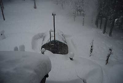 今朝からガンガン雪が降り出しました。