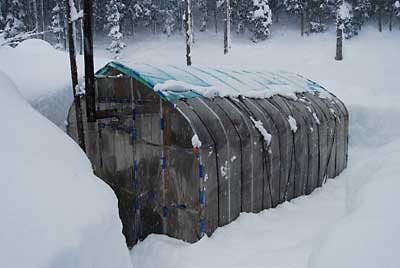 ハウスは昨夜除雪したので、かなり雪が降っても大丈夫です。