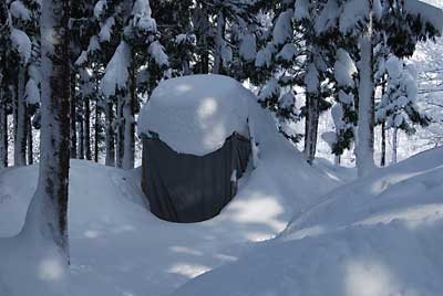 杉林の中のユンボ小屋は、雪尻が出ていました。