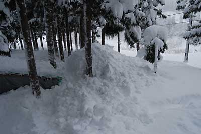 雪室は６～７ｍの高さになったと思います。