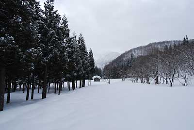 幸いにも雪が降らず作業が楽に出来ました。