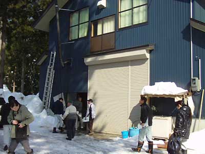 タラの芽の促成栽培の施設です。