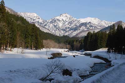 暖かくなってきたので、大源太川には雪代が出て水量が凄くなってきました。