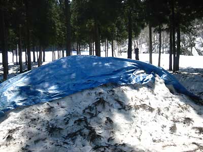 短期用の雪室です。