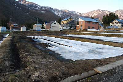 もう一つの畑の雪も明後日には消えてしまいそうです。