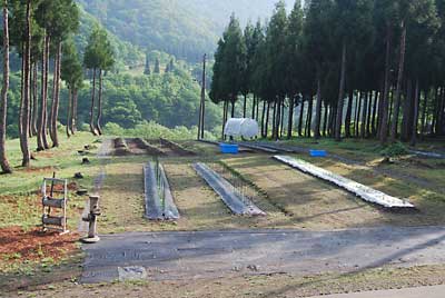 これで畑に全て野菜の定植と種まきが終わりました。