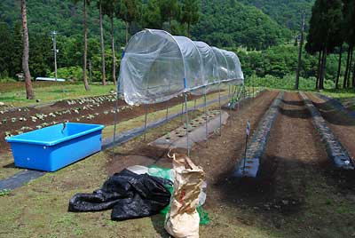 トマトハウスのまわりを完成させることにしました。