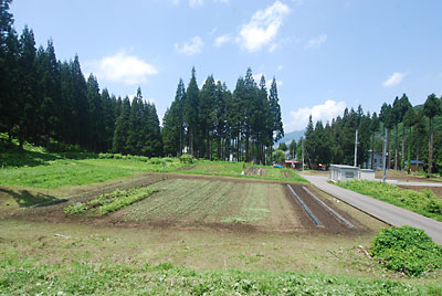 ついでにため池の下の畑のまわりの草刈りもしました。