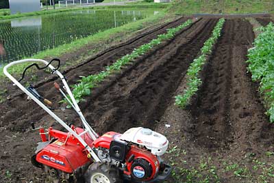 まずは管理機のポチで除草方々、耕耘をしました。