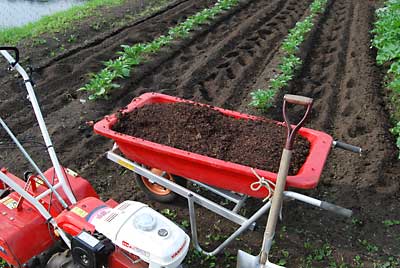 追肥は、有機肥料の完熟牛糞を入れることにしました。