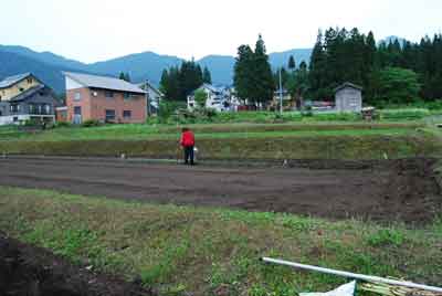 なぜか上の娘が、農作業を手伝ってくれるというので、水やりをしてもらいました。