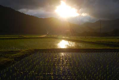 夕陽がとてもきれいでした。