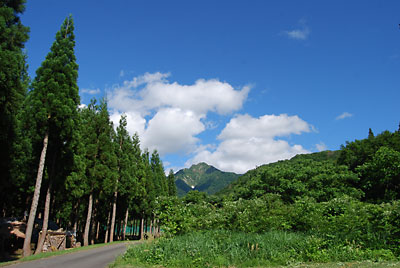 久し振りの青空がきれいでした。