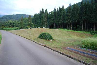 少し刈り残っていた農園のそばのため池の法面の草刈りが完了しました。