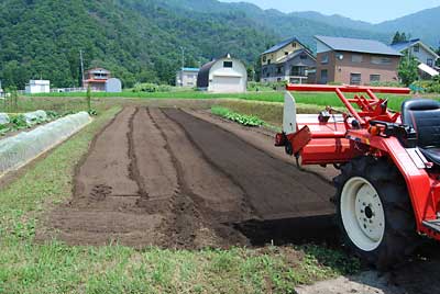 種まき後、ハト対策を兼ねてトラクターで耕耘しました。