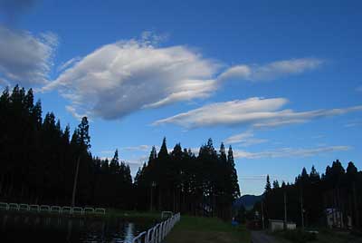 今朝は、空がやけにきれいでした。