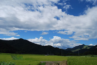 ９月になったら急に、秋の空になってしまいました。