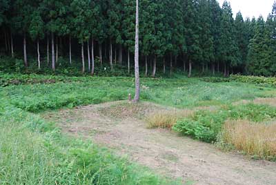 夏ソバを植えたお隣の不耕作地の雑草を刈らせていただきました。