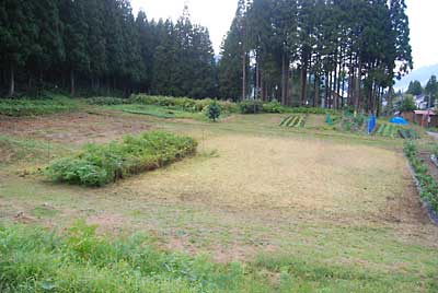 約３時間かかって、夏ソバの粉砕作業完了しました。