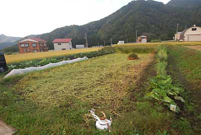 かなり頑張ったのですが、終わりませんでした。（涙