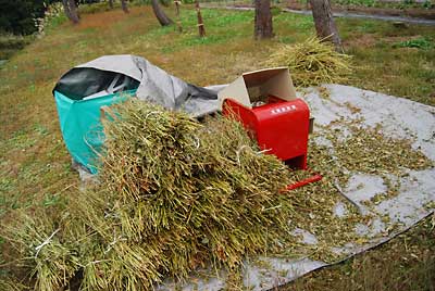 途中から小雨が降って来ましたが、何とか脱穀が終わりました。