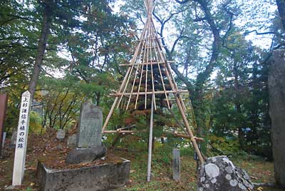 なんとか雪囲いが終了しました。