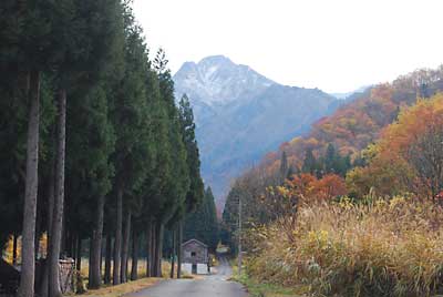 大源太山の山頂付近に雪が降りました。